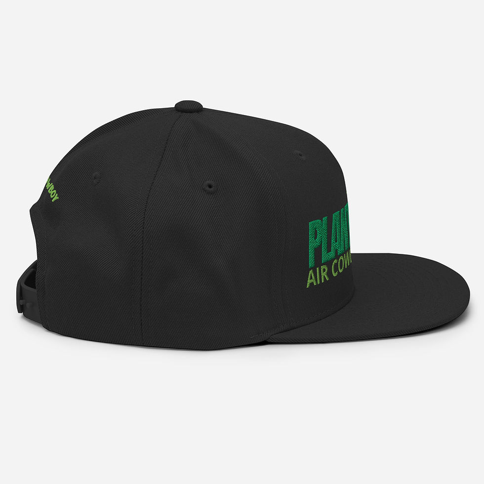 Thumbnail: Plant Based Snapback