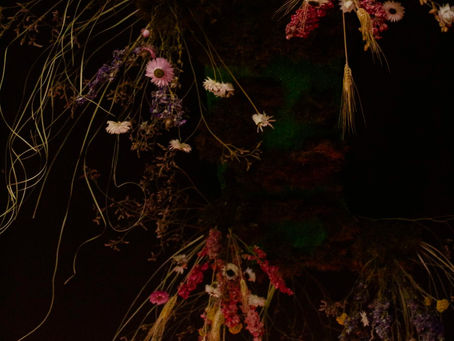 Capturing Moments with Meaning: Discover Luna Fox Photography