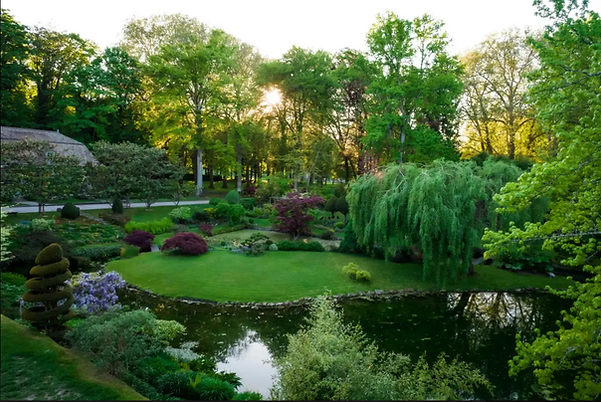 Jardin japonais domaine de Courances 