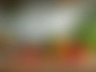 Understanding Digestive Health Problems: A Gentle Guide to Your Well-Being