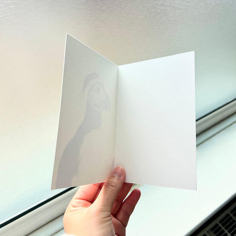 Thumbnail: Puffin Christmas Card: Bird Christmas Card, Santa Hat Seabird, illustration card