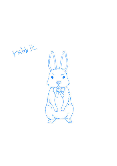 rabbit