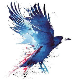 animal-totem-corbeau.webp