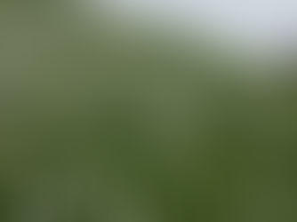 Sortie Les Pléiades Sa 25 mai !