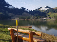 Tour du Lac Noir