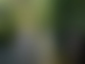 Ouverture des inscriptions