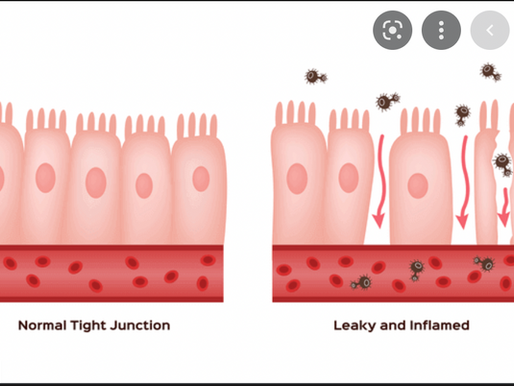 How I beat Mold (Ochratoxin A) - Fungal Infection?
