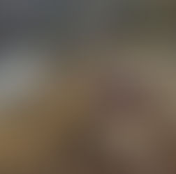 NoCo Distillery: Founder's Reserve Cigar Blend