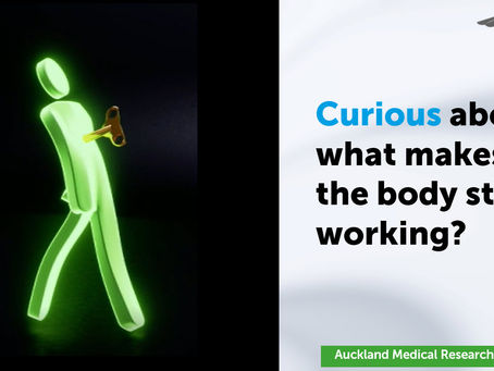 Curious about what makes your body stop working?