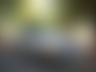 Smoke Silver California Diesel Coupe: 1985 300CD