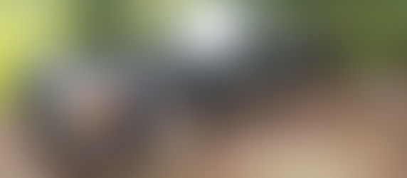 Begging for a Restoration: 1973 450SL (Lorinser?)