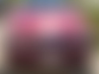 Time Capsule Alert! 1999 CLK320 Cabriolet