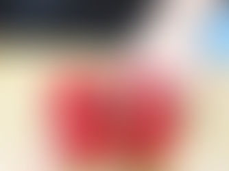 Preserved Red Rose Bouquet 