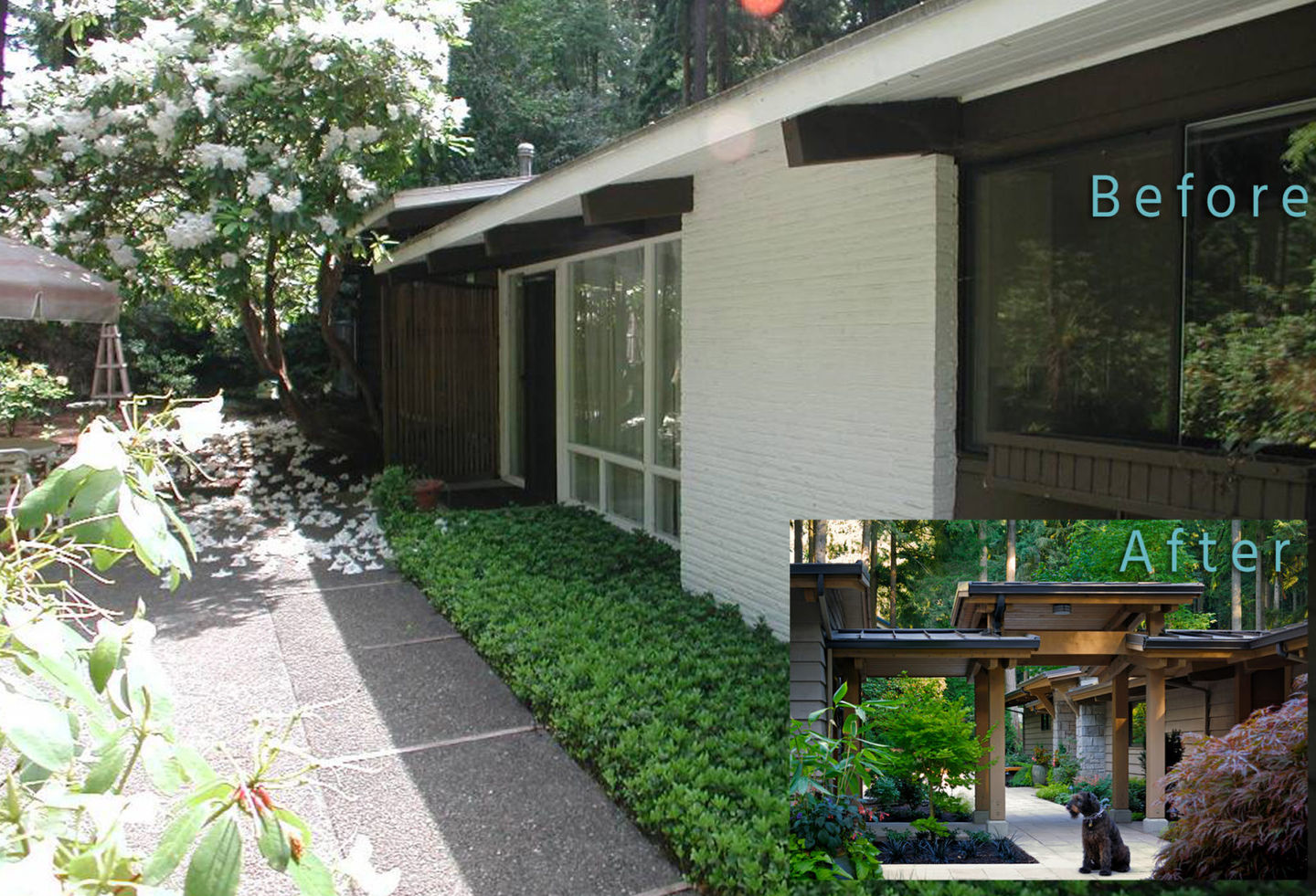 Bridle Trails House - Seattle, Washington / AOME Architects
