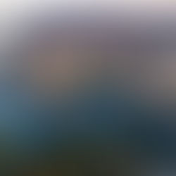 More from “every frame a painting.”