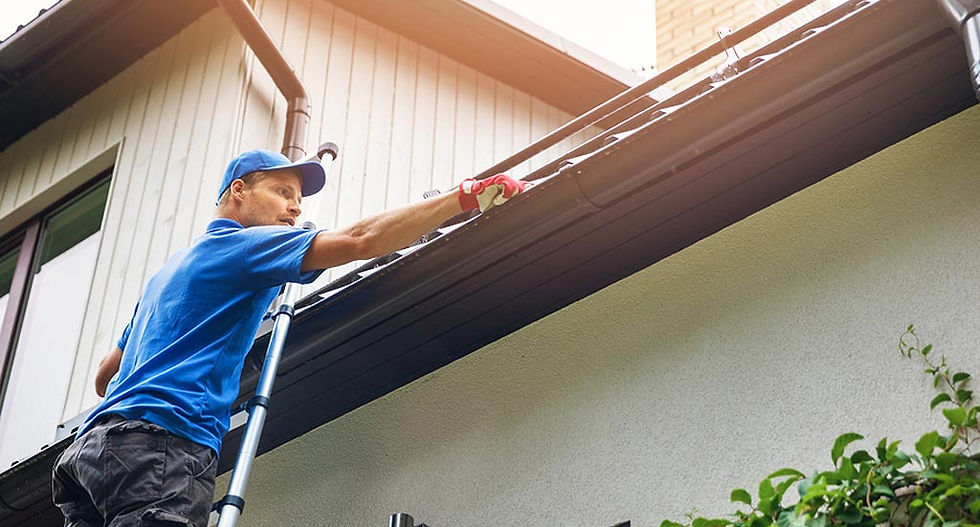 professional-gutter-cleaning-on-ladder (1).jpg