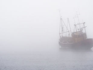 HOW TO NAVIGATE UNCERTAINTY? Hold your Vision, Trust the Process