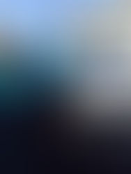 Feedback from the 9 months experience...