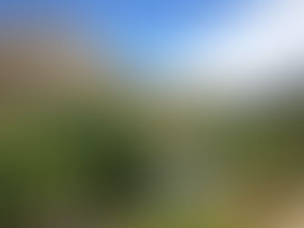 Friends, wine, paradise,… what else ? By Tom