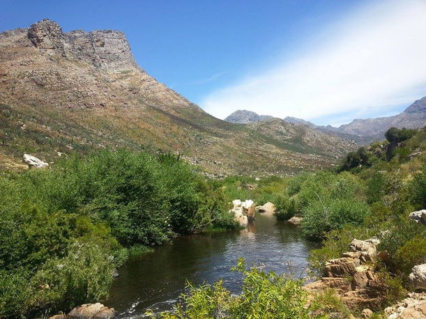 Friends, wine, paradise,… what else ? By Tom