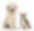 illustration d'un chien et d'un chat
