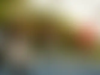 Best Time of Year for Pickleball Getaways in the Tropics