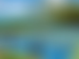 Top Facilitated and Well-organized Pickleball Game