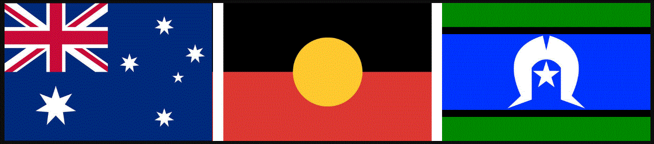 3flags.GIF