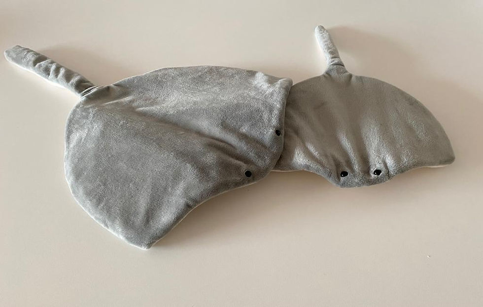 Miniatura: raya y rayita