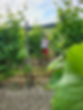 20250621_084732.jpg