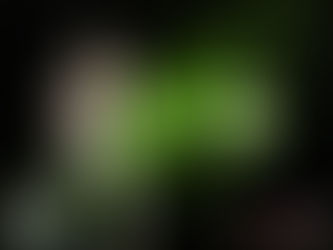 Kamen Rider Faiz Paradise Lost Sub Indo