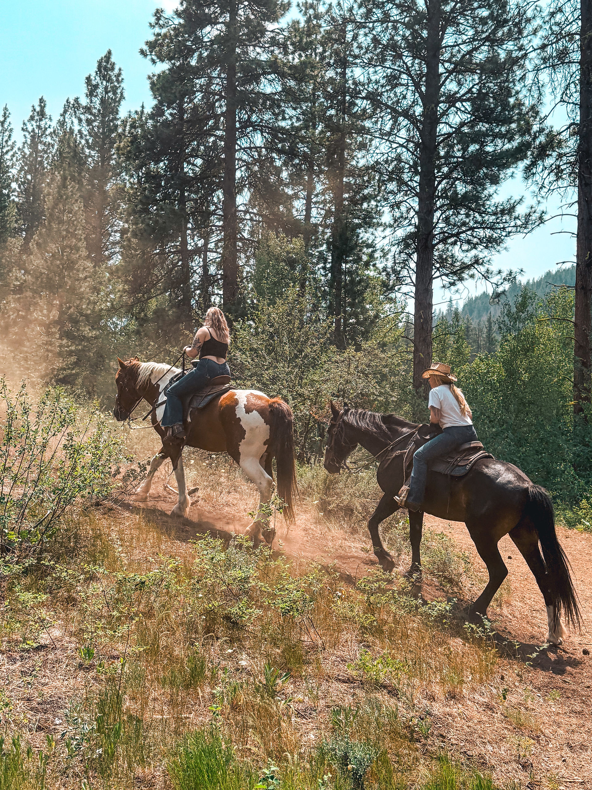 Kadie and Hailey going up hill on horses