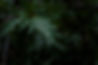 shutterstock_1958000572.jpg