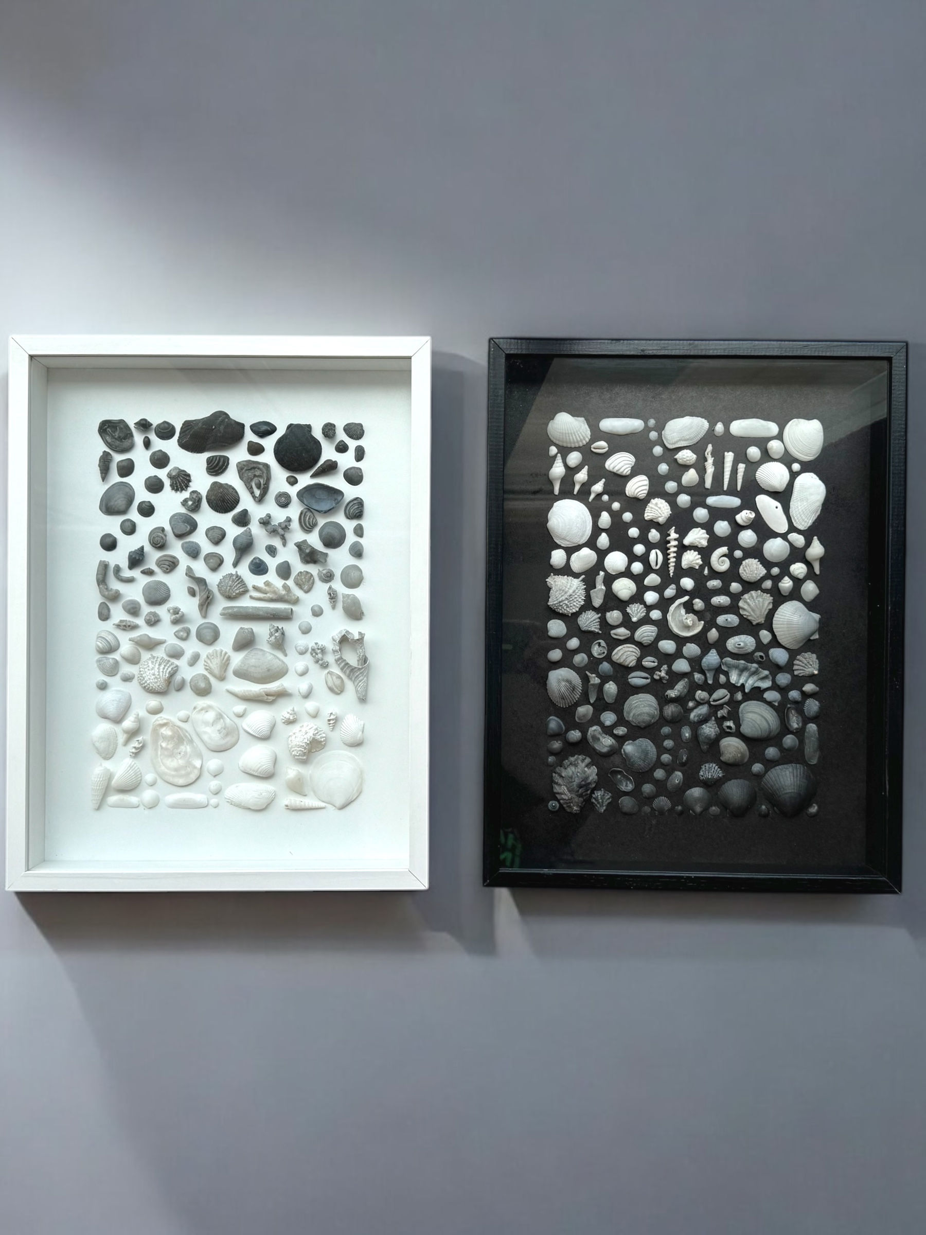 Fragmentos Salinos — Fluxo e Refluxo — díptico autoral em conchas naturais