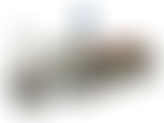 The one and only VSF