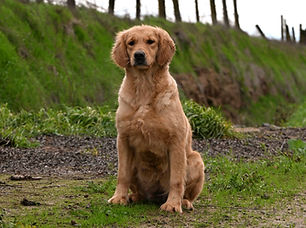 DSC_4006_edited_edited.jpg