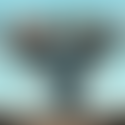 One Post. Five Platforms. Zero Extra Work. Meet POSSE.