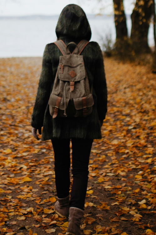 walking & speed walking effect on mood