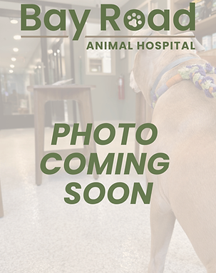 BRAH photo coming soon.png