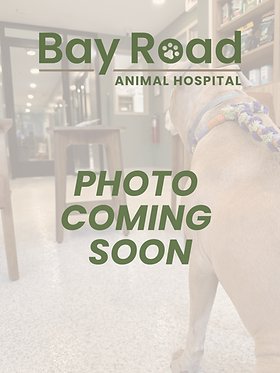 BRAH photo coming soon.png