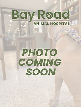 BRAH photo coming soon.png