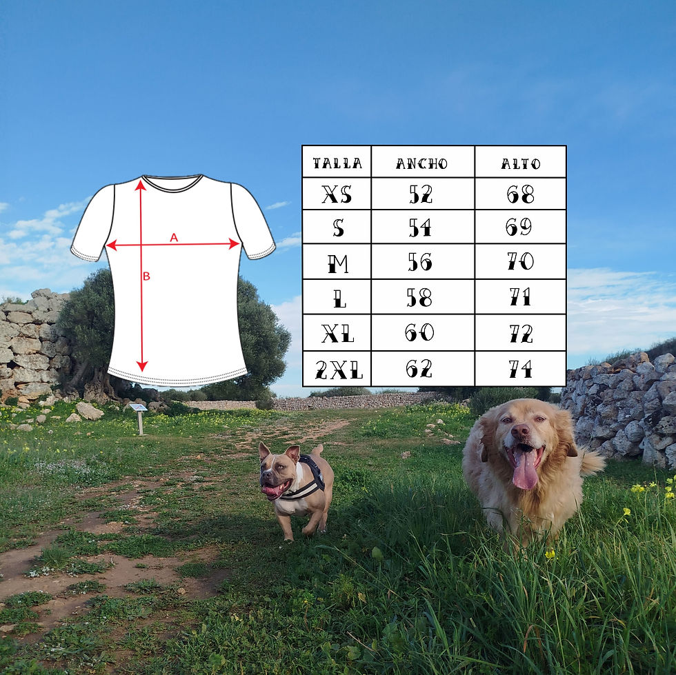 Miniatura: CROW • SIR [Adults]