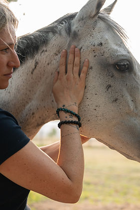 magnetisme-equin-accompagnement-cheval.jpg