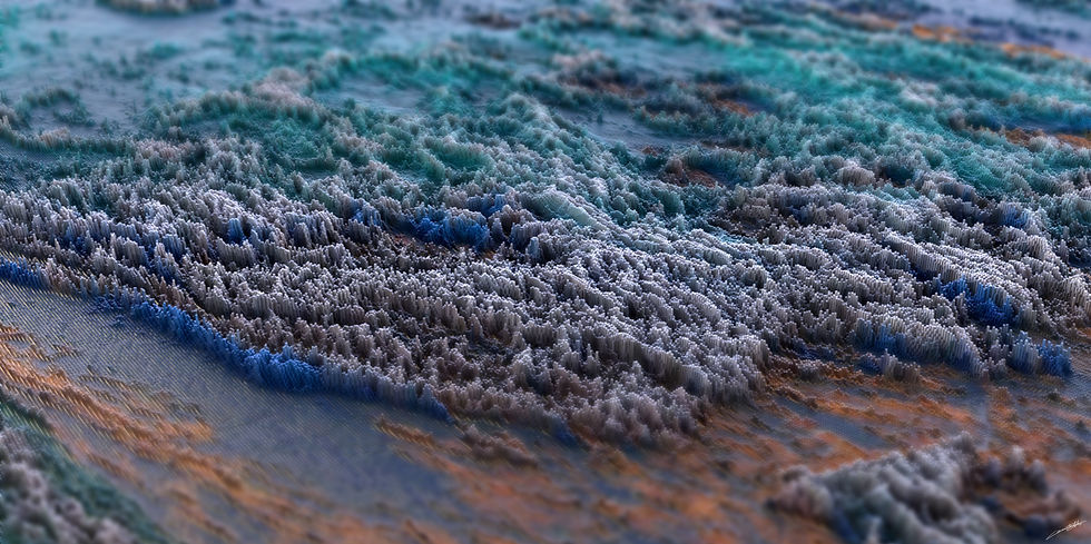 LHOSTIS_Corentin_Env_BleuBrun0002