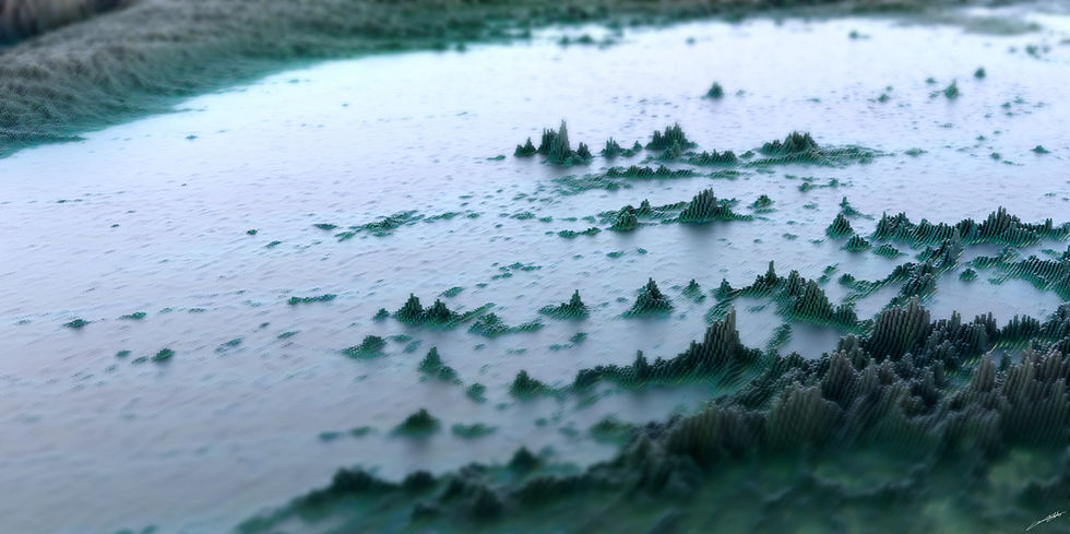 LHOSTIS_Corentin_Env_Vert0005