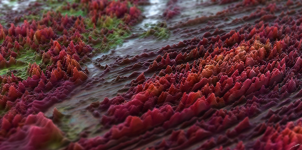 LHOSTIS_Corentin_Env_RougeFushia0004