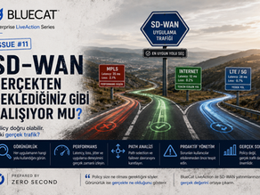 BlueCat LiveAction Enterprise Series Issue #11 – SD-WAN ortamlarında gerçek trafik yolları, path selection, failover ve uygulama performansı görünürlüğü