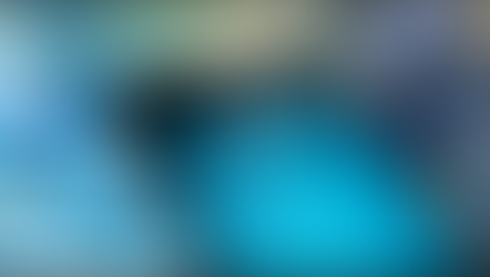 Snappy for Fake Wi-Fi Access on Public Networks