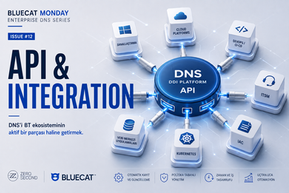 DNS ve DDI API merkezini çevresindeki BT platformlarına bağlayan mavi bağlantılarla API entegrasyon şeması.