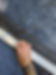 screen door repair replacement cape cod